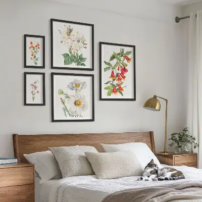 Blommiga botaniska illustrationer tavelvägg med 5 tavlor