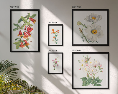 Tavelvägg med 5 tavlor Blommiga botaniska illustrationer
