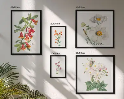 Blommiga botaniska illustrationer tavelvägg med 5 tavlor