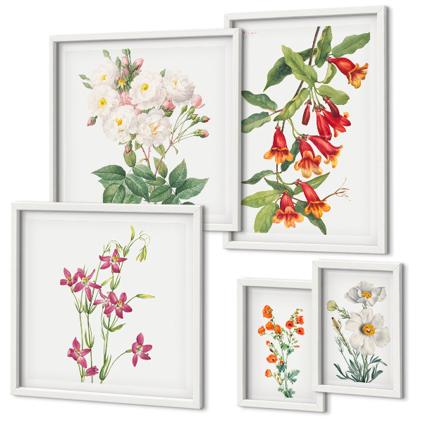 Väggdekoration tavelset Blommiga botaniska motiv