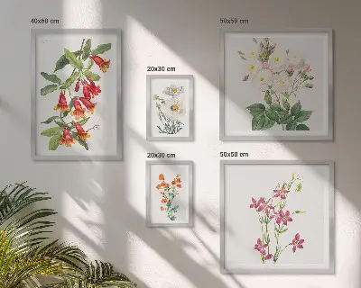 Väggdekoration tavelset med blommiga botaniska motiv
