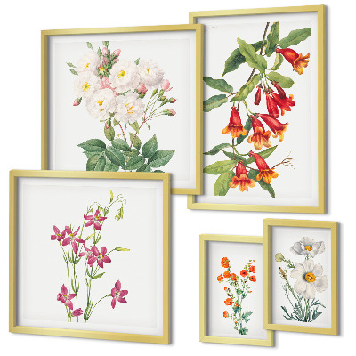 Väggdekoration tavelset Blommiga botaniska motiv