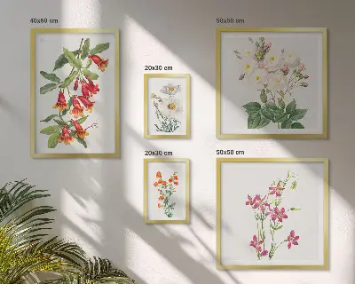 Väggdekoration tavelset med blommiga botaniska motiv