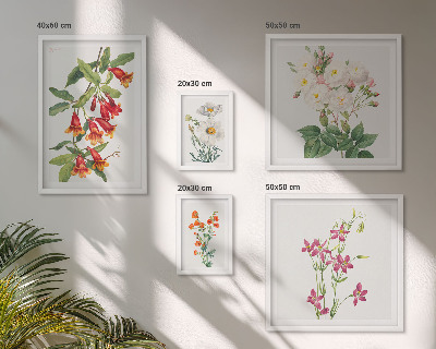 Väggdekoration tavelset Blommiga botaniska motiv