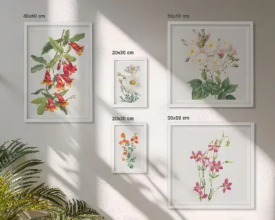 Väggdekoration tavelset med blommiga botaniska motiv