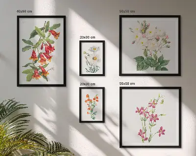 Väggdekoration tavelset med blommiga botaniska motiv
