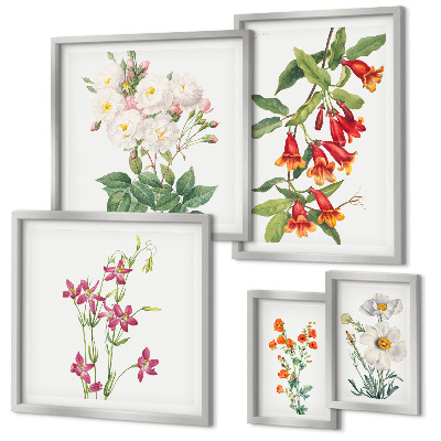 Väggdekoration tavelset Blommiga botaniska motiv