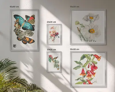 Blommor, fjärilar och fåglar set med 5 vintage-tavlor för dekoration