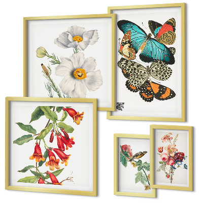 Set om 5 tavlor Blommor fjärilar fåglar vintage dekorationer