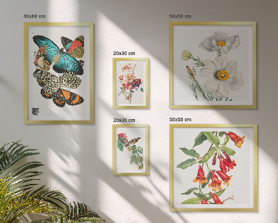 Set om 5 tavlor Blommor fjärilar fåglar vintage dekorationer