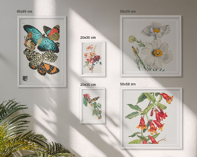Set om 5 tavlor Blommor fjärilar fåglar vintage dekorationer