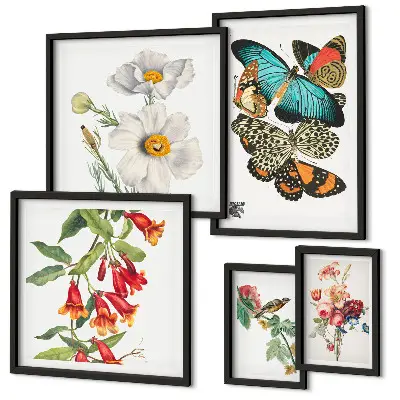 Blommor, fjärilar och fåglar set med 5 vintage-tavlor för dekoration