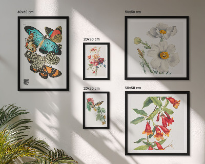 Set om 5 tavlor Blommor fjärilar fåglar vintage dekorationer
