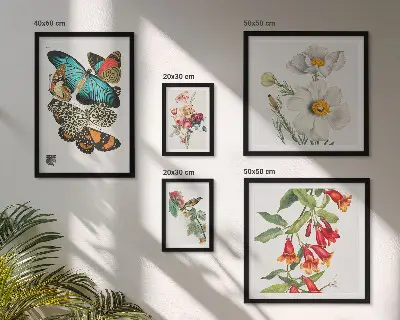 Blommor, fjärilar och fåglar set med 5 vintage-tavlor för dekoration