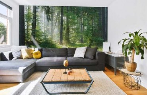 Fototapet till vardagsrummet - hur man väljer det perfekta motivet och skapar ett unikt utrymme