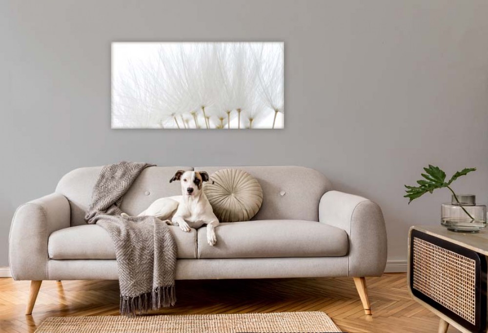 Årets inredningsfärg 2026