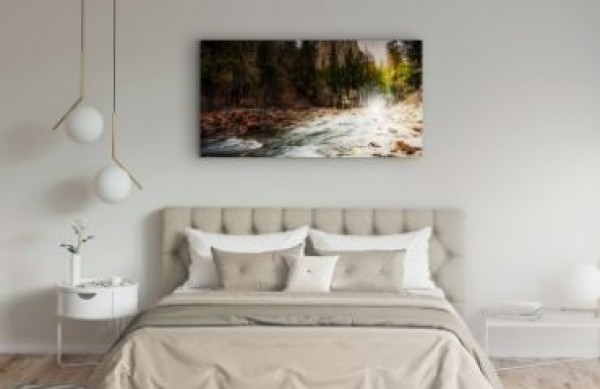 Bilder för sovrummet och vardagsrummet - vilket motiv, typ och storlek på bilden kommer att fungera i ditt interiör?